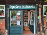 Schmetterling200