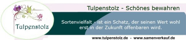 Tulpenstolz.de